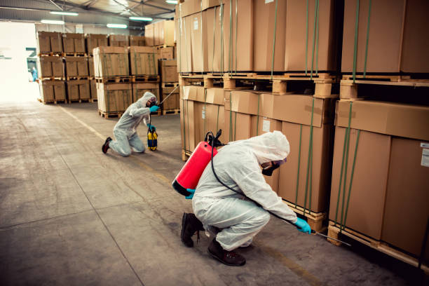 Best Mosquito Control Services  in Sedro Woolley, WA