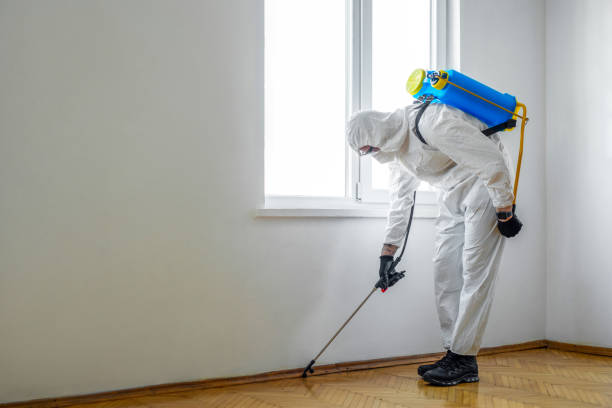 Best Best Pest Control Companies  in Sedro Woolley, WA
