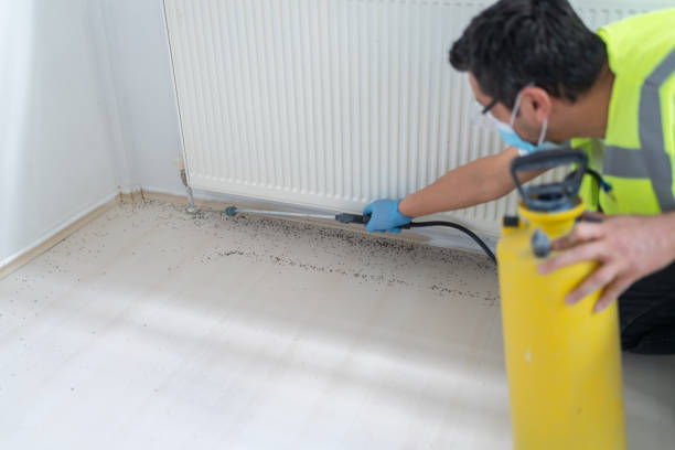 Best Local Pest Control Services  in Sedro Woolley, WA