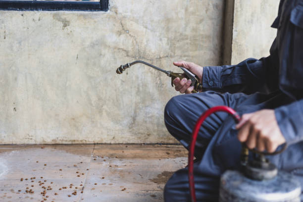 Best Affordable Pest Control Services  in Sedro Woolley, WA